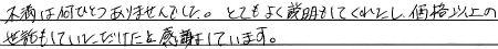 不満は何ひとつありませんでした。とても良く説明もしてくれたし、価格以上の世話もしていただけたと感謝しています。